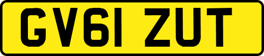 GV61ZUT