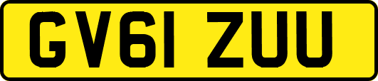 GV61ZUU