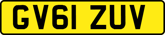 GV61ZUV