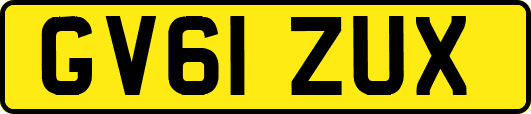 GV61ZUX