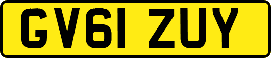 GV61ZUY