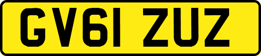 GV61ZUZ
