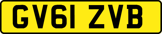 GV61ZVB