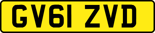 GV61ZVD