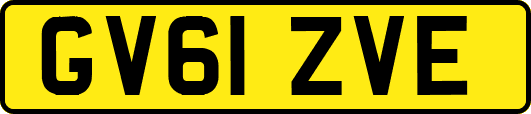 GV61ZVE