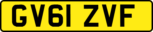 GV61ZVF