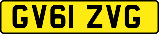GV61ZVG