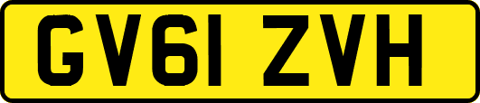 GV61ZVH