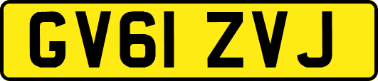 GV61ZVJ