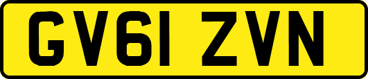 GV61ZVN