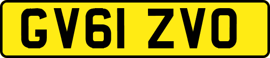 GV61ZVO