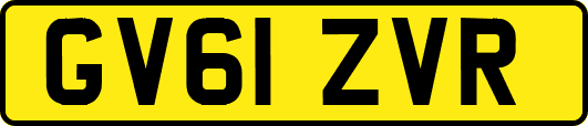 GV61ZVR