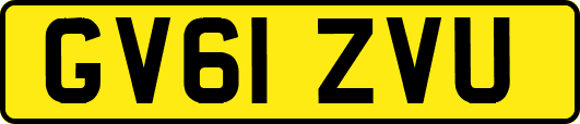 GV61ZVU
