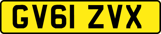 GV61ZVX