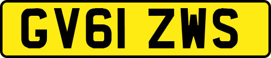 GV61ZWS