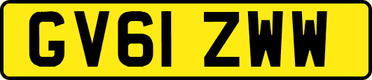 GV61ZWW