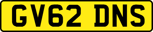 GV62DNS