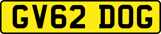 GV62DOG