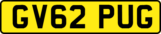 GV62PUG