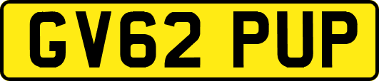 GV62PUP