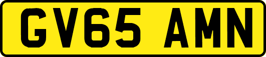 GV65AMN