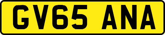GV65ANA