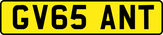 GV65ANT