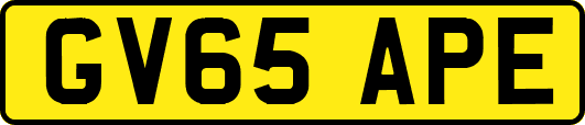 GV65APE
