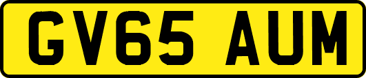 GV65AUM