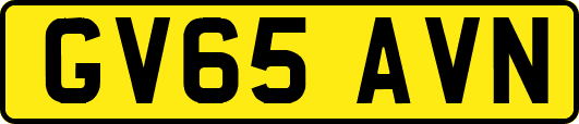GV65AVN