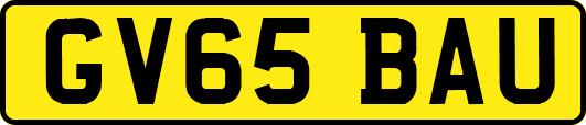 GV65BAU