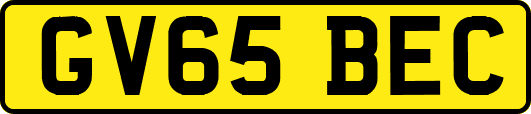GV65BEC