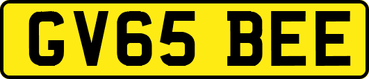 GV65BEE