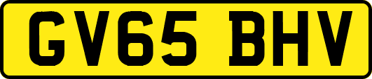 GV65BHV