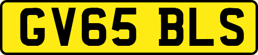 GV65BLS