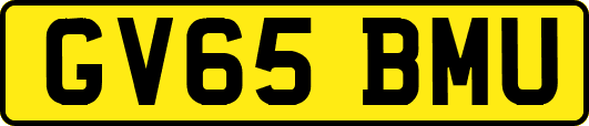 GV65BMU