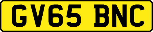 GV65BNC