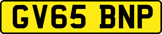 GV65BNP