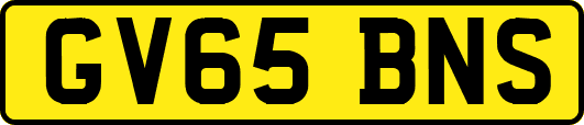 GV65BNS