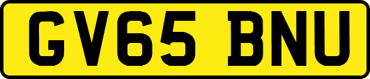 GV65BNU