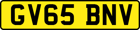 GV65BNV