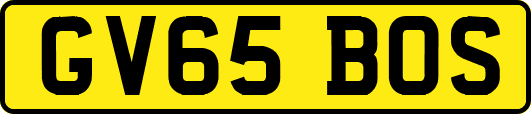 GV65BOS