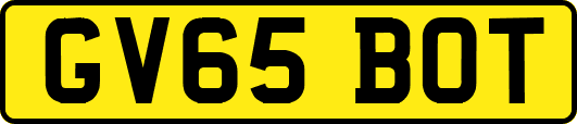 GV65BOT