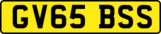 GV65BSS