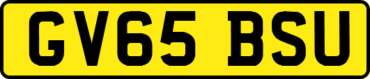 GV65BSU