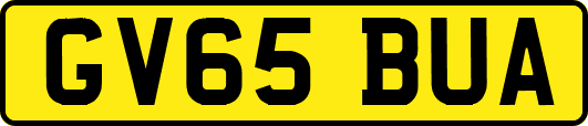 GV65BUA