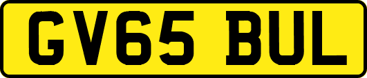 GV65BUL