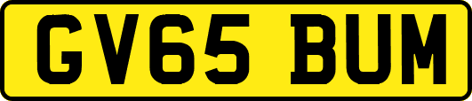 GV65BUM