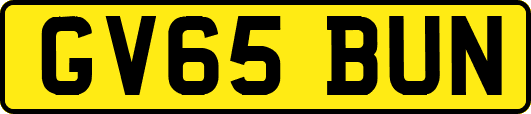 GV65BUN