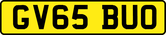 GV65BUO